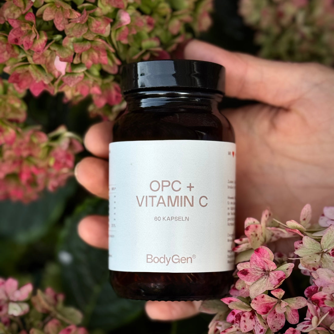 OPC + VITAMIN C
